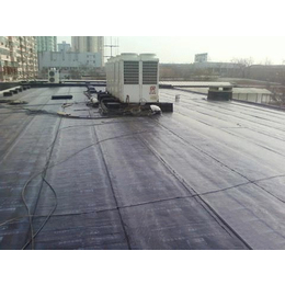 南京禹芭防水工程公司(图)-南京防水